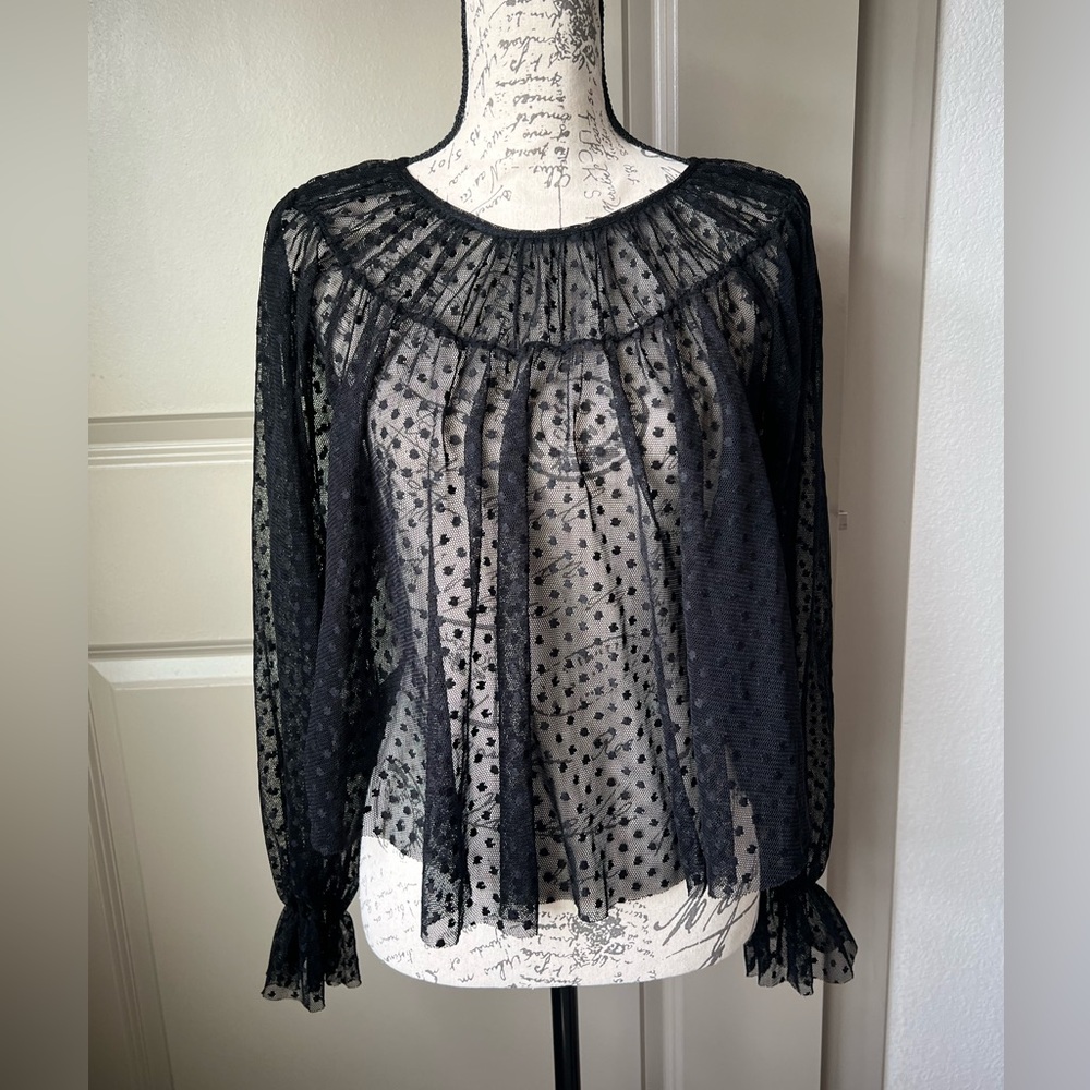 Zara Black Mesh Polka Dot Top